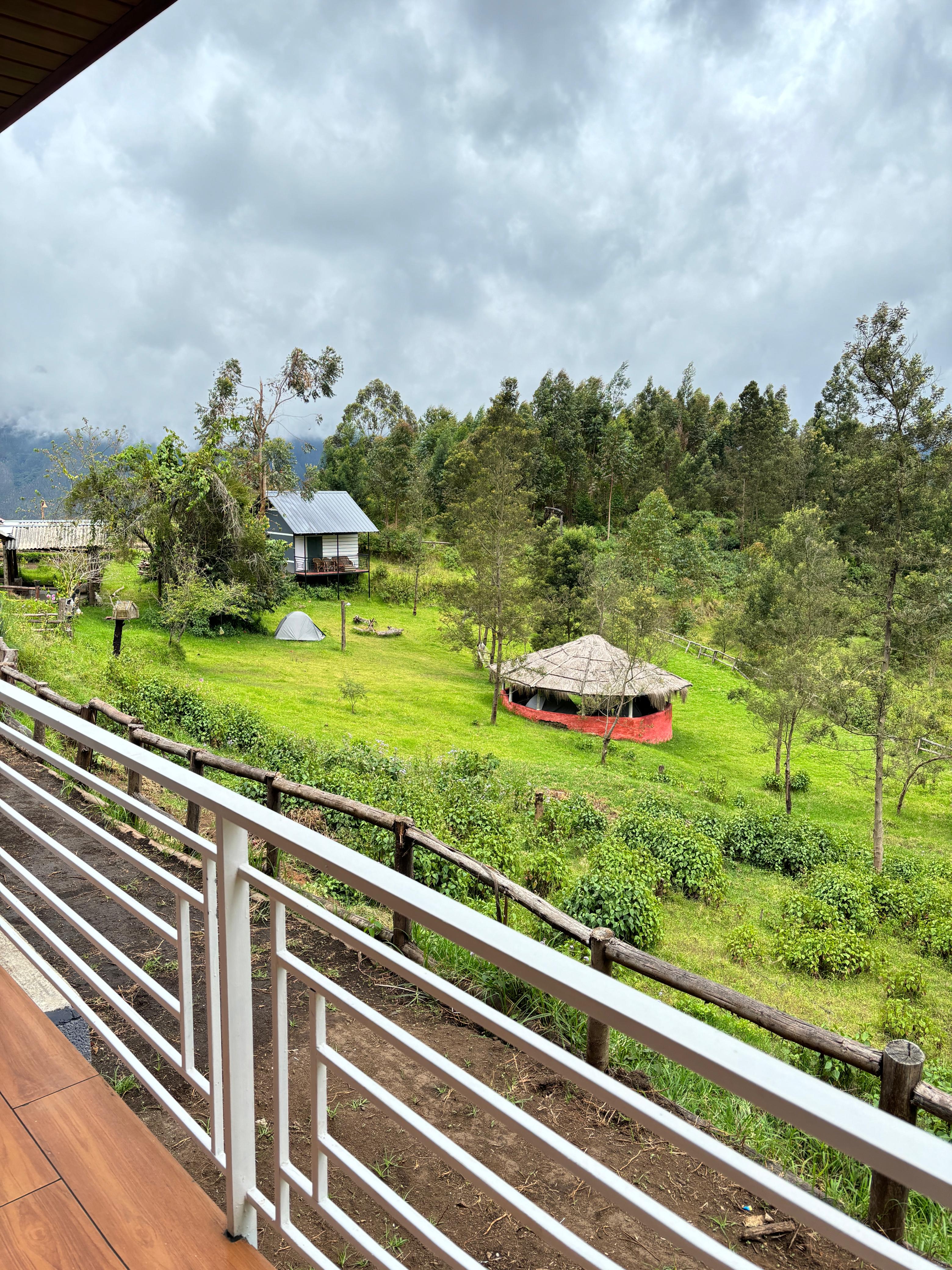 Camp Wildlink — 7-Acre Sustainable Farm Camping & Shola Wilderness